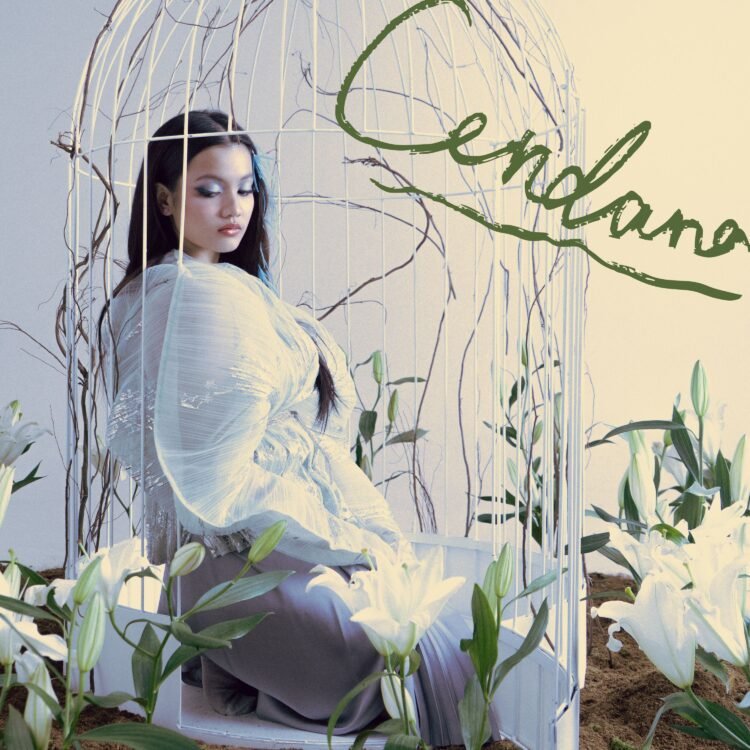 Artwork Aruma - Cendara